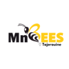 MnBees Tajerouine