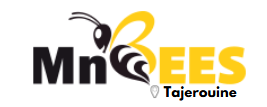 MnBees Tajerouine